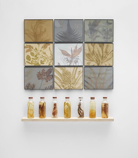 Vanishing I by Michelle Stuart contemporary artwork Painting