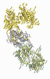 Resolution of Traits 5.1 by Ran Zhang contemporary artwork drawing painting works on paper