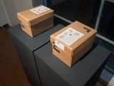 Decommissioned skull boxes National History Museum London by Daniel Boyd contemporary artwork installation