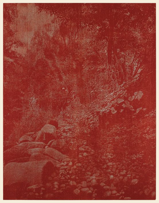 Ruschegg by Franz Gertsch contemporary artwork Print