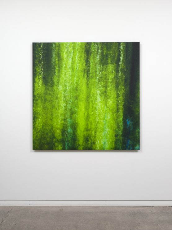 My Titirangi Years - through the green curtain by Elizabeth Thomson contemporary artwork Painting