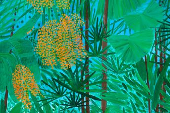 Contemporary art exhibition Sally Ross Sally Ross at Martin Browne Contemporary Sydney Australia
