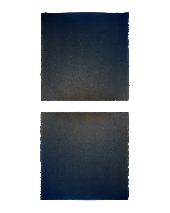 Diptych Burnt Sienna and Milori by Nick Terry contemporary artwork Painting