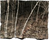 Manifest IV by Tenzing Dakpa contemporary artwork photography