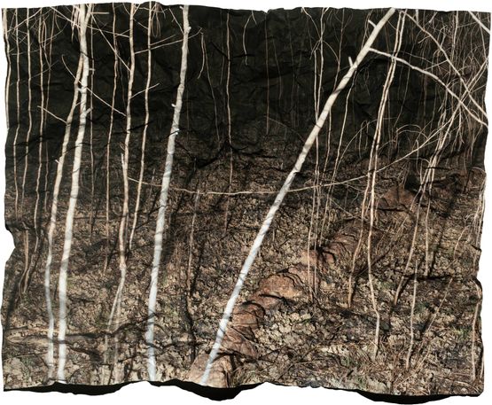 Manifest IV by Tenzing Dakpa contemporary artwork Photography