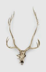 Caribou Skull by Sherrie Levine contemporary artwork sculpture