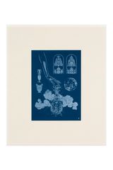 Blue Sleep by Berke Yazcoglu contemporary artwork drawing works on paper