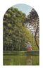 LIGHT KEEPERSGrandma Chians backyard by Alex Face contemporary artwork Painting