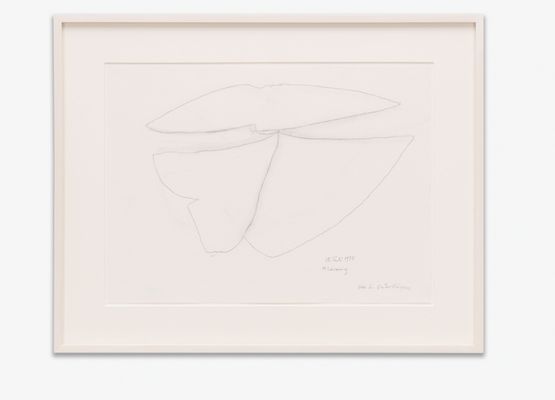 Ober und Unterkorper Torso and Lower Body by Maria Lassnig contemporary artwork Works on Paper