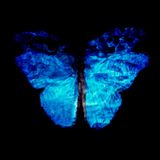 Transparency of a Dream 0813-28 by Alexander James Hamilton contemporary artwork painting sculpture works on paper