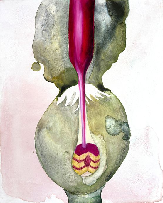 Cake in Waiting by Bianca Kennedy contemporary artwork Drawing