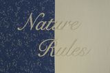 Nature Rules by Jae-Eun Choi contemporary artwork textile