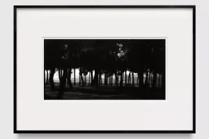 Robert Longo