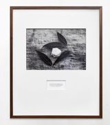 Bay leaf with salt by Maruch Santiz Gomez contemporary artwork print