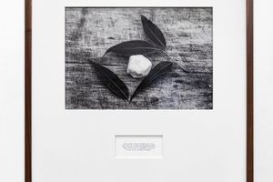 Maruch Santiz Gomez