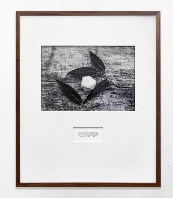 Bay leaf with salt by Maruch Santiz Gomez contemporary artwork Print