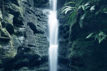 Contemporary art exhibition Grant Stevens The Mountain and the Waterfalls at Starkwhite Auckland New Zealand