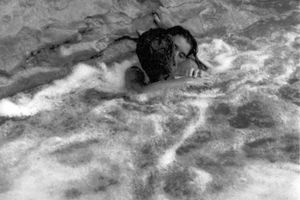 Michel Francois