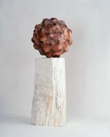 Unanchored Still Standing by Sam Woo-ram Choi contemporary artwork sculpture