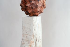 Sam Woo-ram Choi