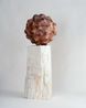 Unanchored Still Standing by Sam Woo-ram Choi contemporary artwork Sculpture
