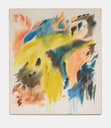 Zerene cesonia by Sydney Cortright contemporary artwork drawing painting works on paper