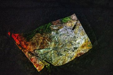 Shiho Yoshida contemporary artist