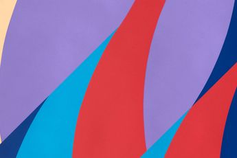 Bridget Riley contemporary artist