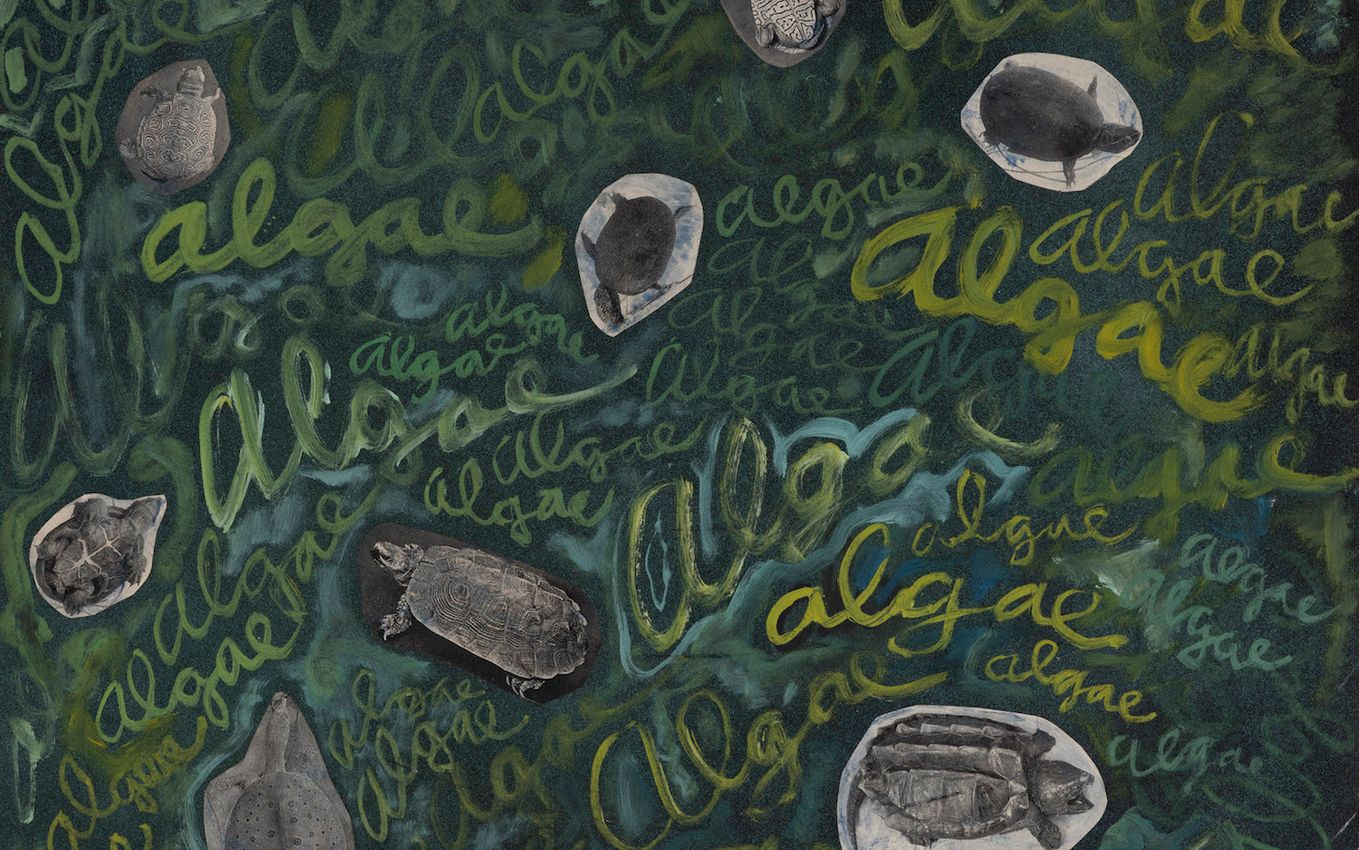 Robert Smithson