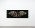 Karearea Hunter Above by Fiona Pardington contemporary artwork Print