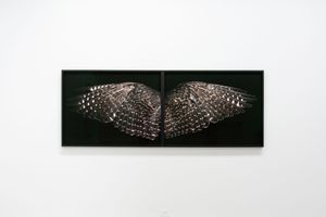 Fiona Pardington