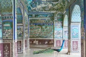 Karen Knorr