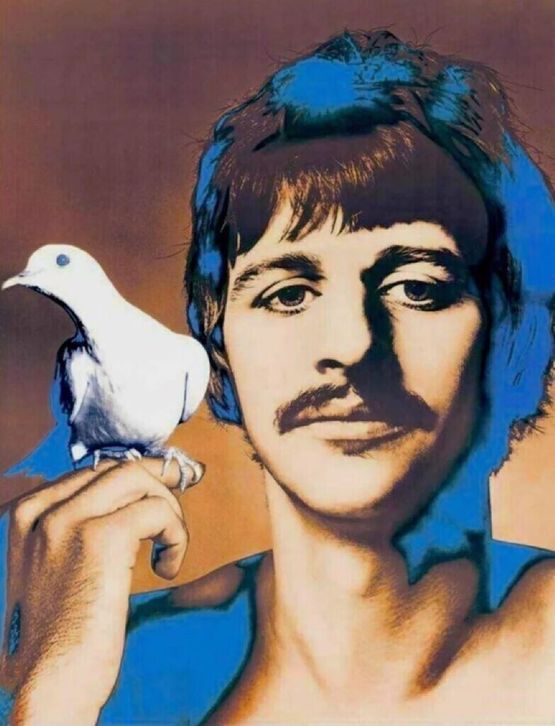 Ringo Starr by Richard Avedon contemporary artwork Print