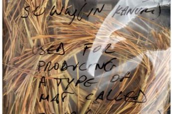 Contemporary art exhibition Laura J. Padgett Strata at GaleriePeterSillem Frankfurt Germany