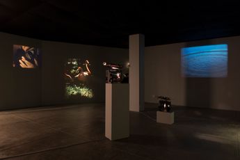 Contemporary art exhibition Joao Maria Gusmao  Pedro Paiva WHERE THE SORCERER DOESNT DARE TO STICK HIS NOSE and Another BW Ghost Show at Andrew Kreps Gallery 537 West 22nd Street United States