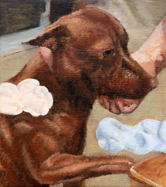 Clay Painting B - The Only One Who Needs Comfort Is Yourself .B- by Shih Yung Chun contemporary artwork Painting