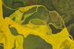 Randy Wray contemporary artist