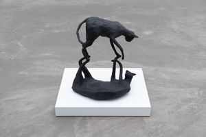 Andy Fitz