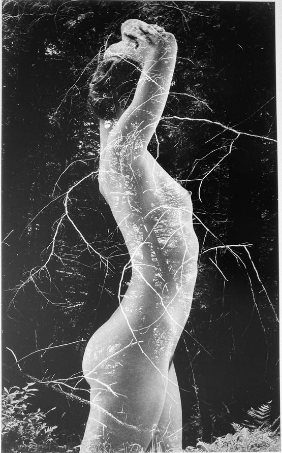 Symbiosis by Ruth Bernhard contemporary artwork Photography