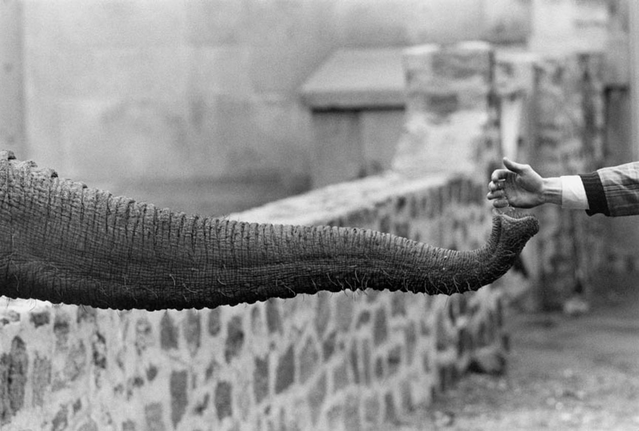 GARRY WINOGRAND