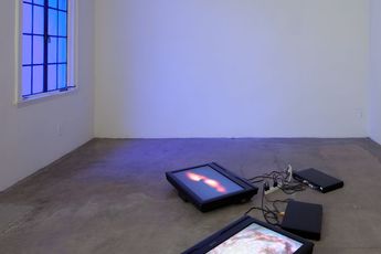 Contemporary art exhibition Group Exhibition One Room One Work at 1301PE Los Angeles United States