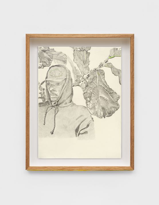 Kris and Fig Tree by Kent Oconnor contemporary artwork Works on Paper