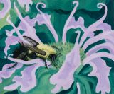 Two Spotted Bumblebee by Claudia Keep contemporary artwork painting