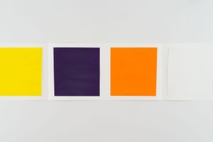 Callum Innes