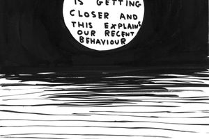 David Shrigley