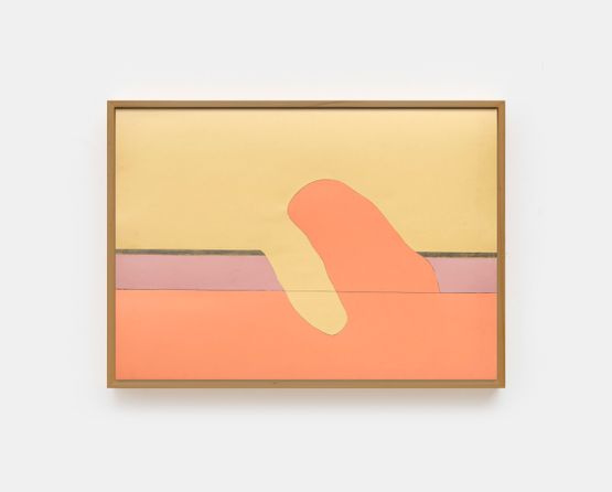 Sem titulo Untitled by Cildo Meireles contemporary artwork Works on Paper