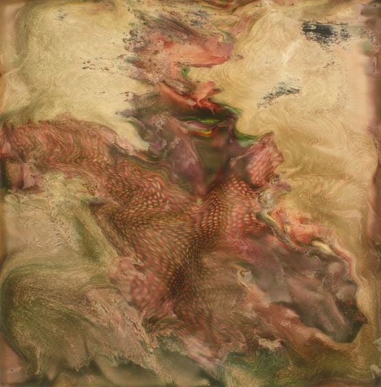Photo-Transformation by Lucas Samaras contemporary artwork Print