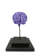 Brain by Suzann Victor contemporary artwork mixed media
