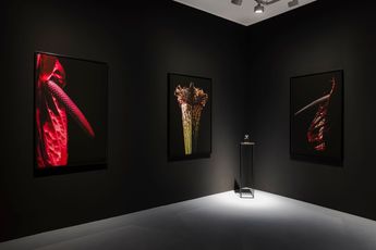 Contemporary art exhibition Pola Sieverding Stigma at SETAREH SETAREH Berlin Germany