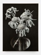 Coneflowers by Don Brown contemporary artwork painting works on paper